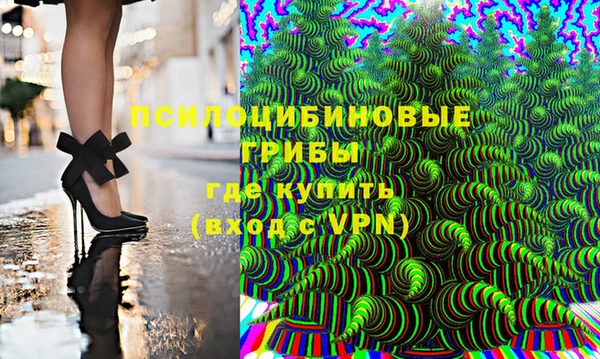 ешки Алзамай