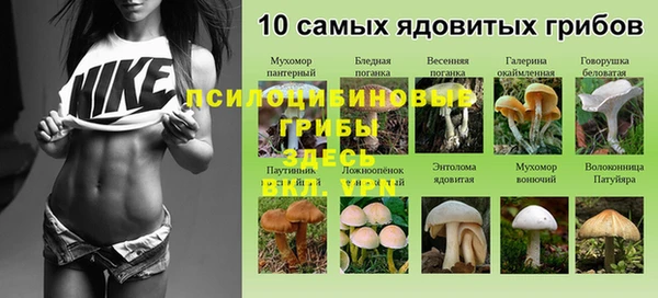 ешки Алзамай