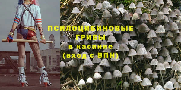 ешки Алзамай