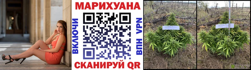 kraken онион  даркнет формула  Бошки марихуана AK-47  хочу наркоту  Анадырь 